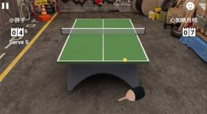 乒乓球模拟器无弹窗中文版截图