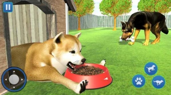 狗生活模拟器3D标准版app截图